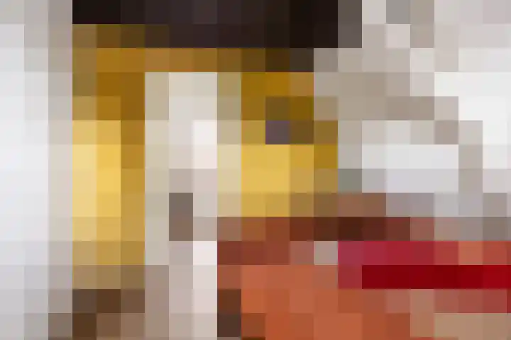 H. Hindersstraat 13 Oude Pekela thumbnail 73