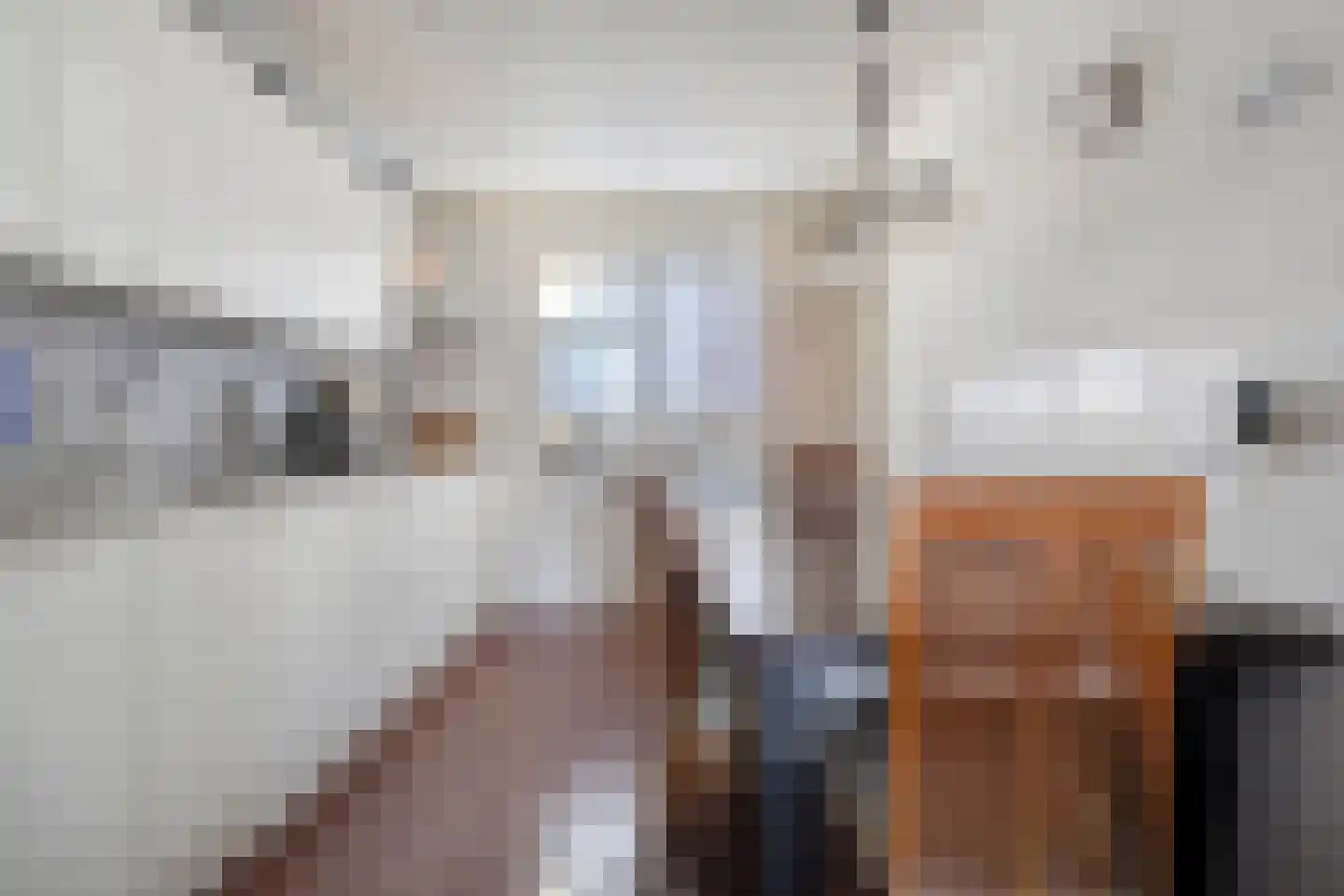 H. Hindersstraat 46 Oude Pekela thumbnail 13
