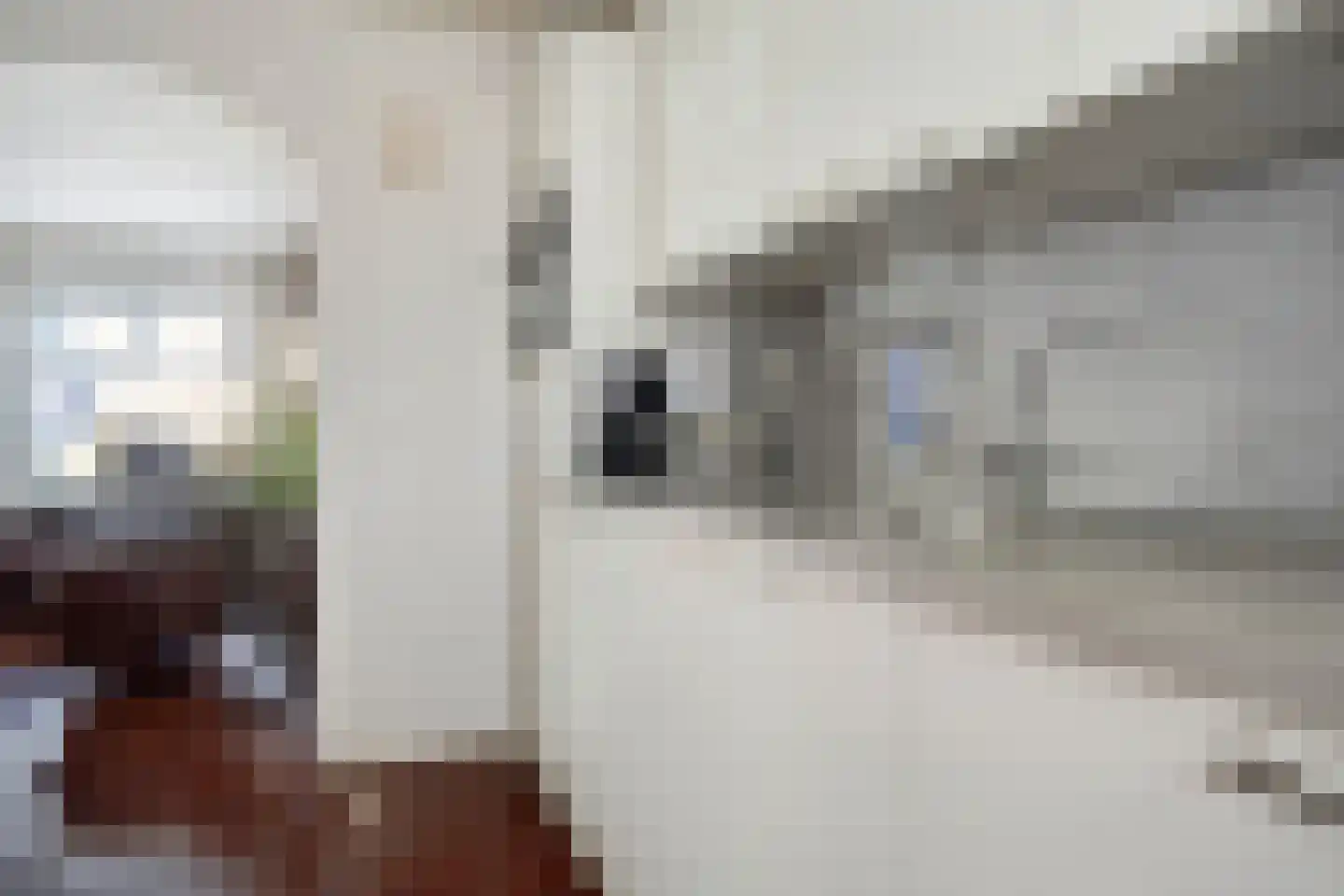 H. Hindersstraat 46 Oude Pekela thumbnail 16