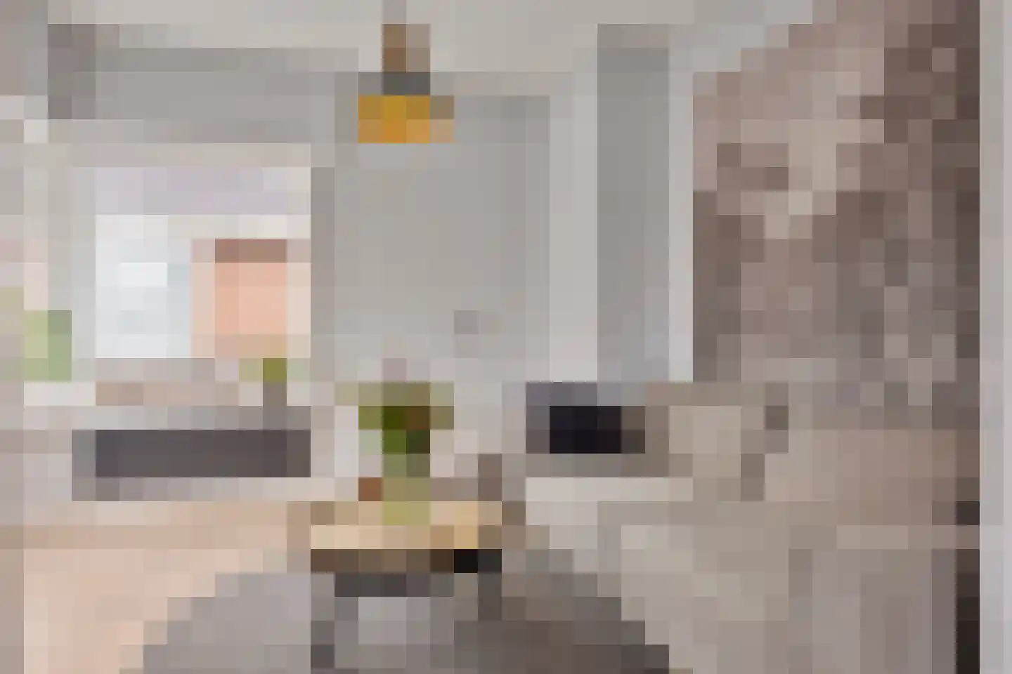 H. Hindersstraat 78 Oude Pekela thumbnail 17