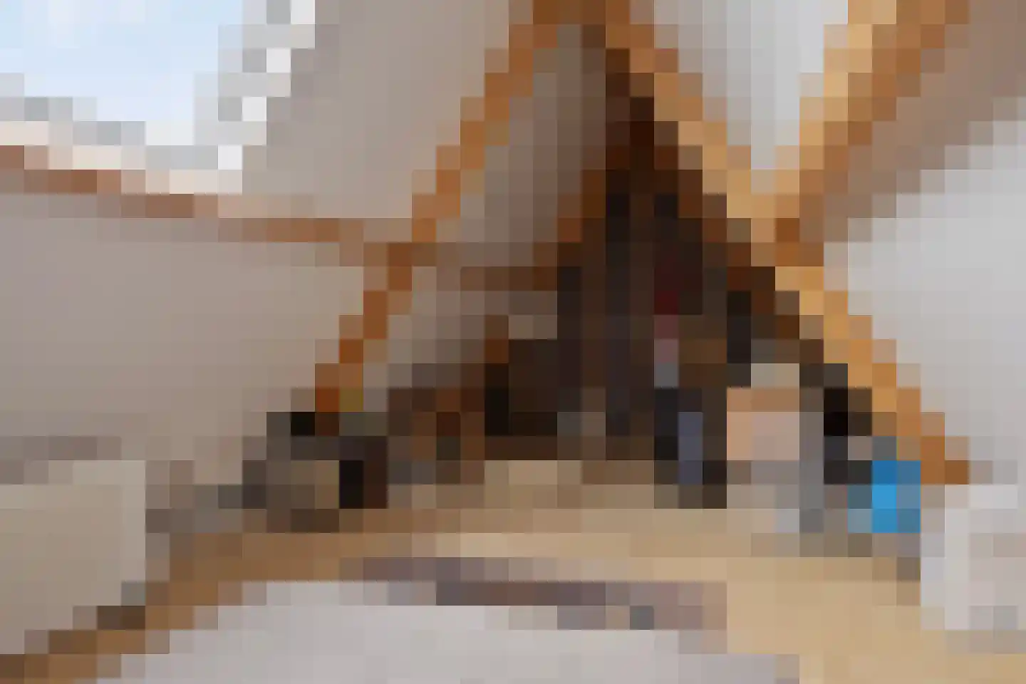 H. Hindersstraat 78 Oude Pekela thumbnail 46