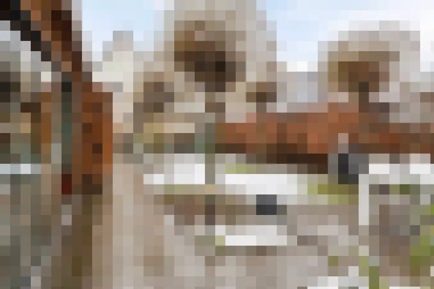 H. Hindersstraat 78 Oude Pekela thumbnail 57