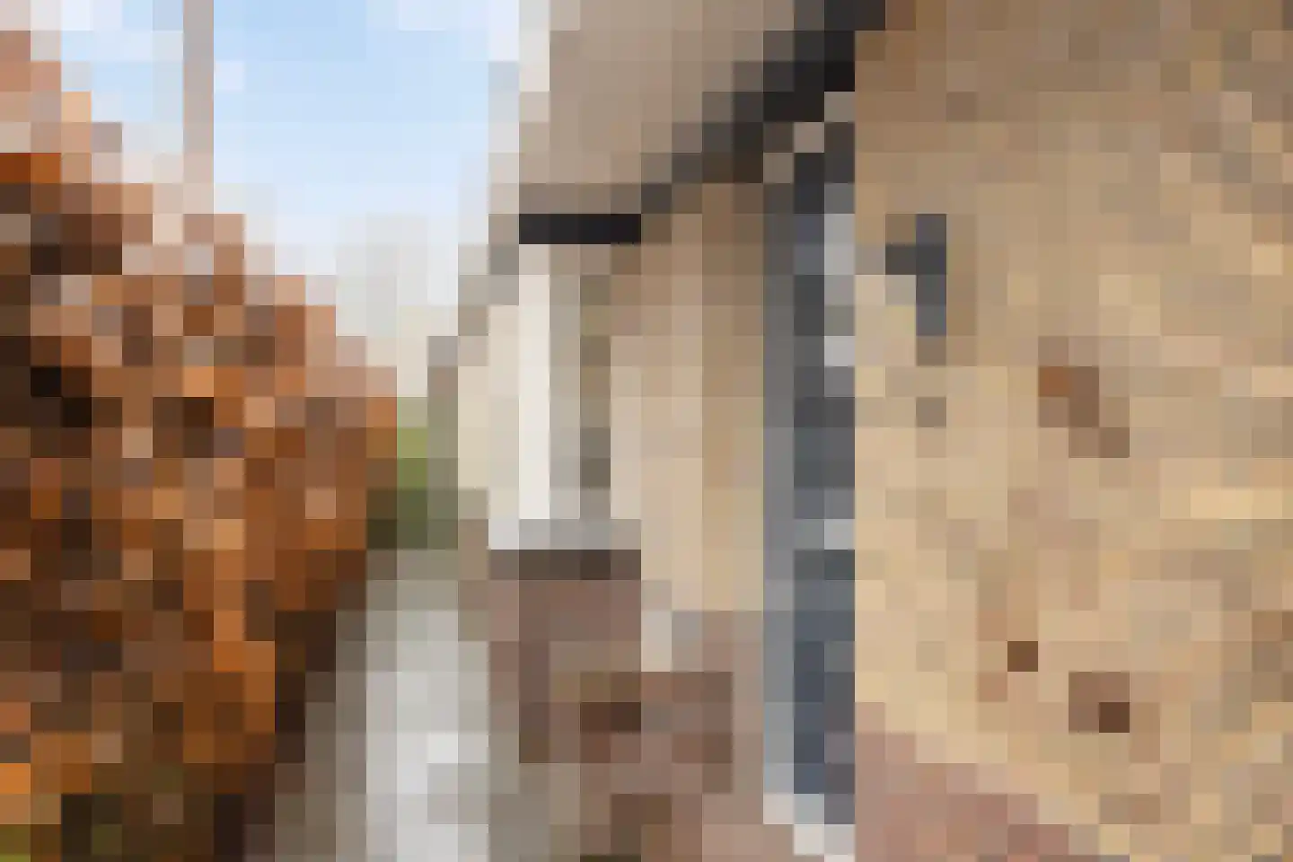 H. Hindersstraat 78 Oude Pekela thumbnail 6
