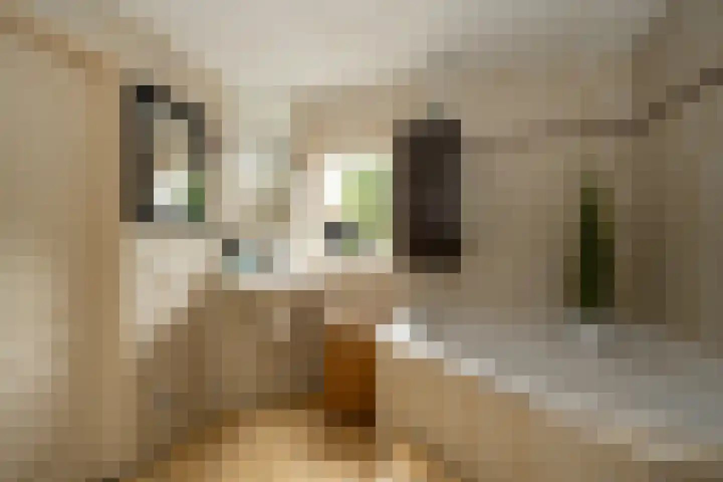 H. Hindersstraat 95 Oude Pekela thumbnail 14