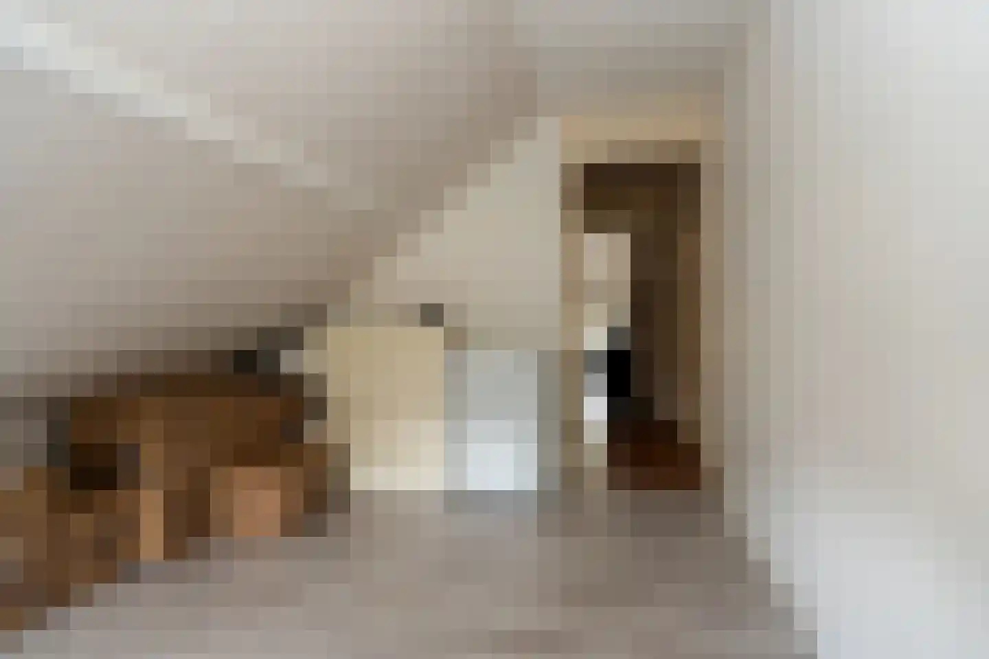 H. Hindersstraat 95 Oude Pekela thumbnail 31