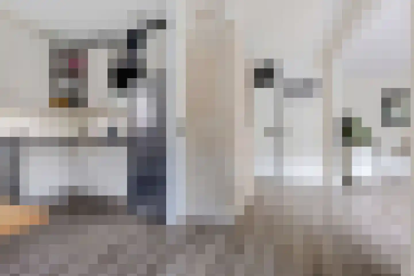 H.J. Algrastraat 10 Amsterdam thumbnail 12