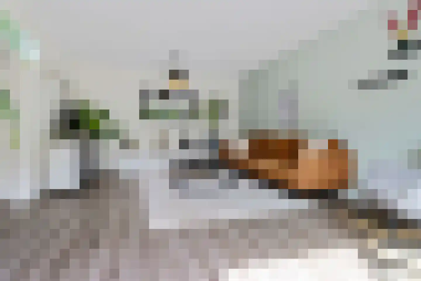 H.J. Algrastraat 10 Amsterdam thumbnail 7