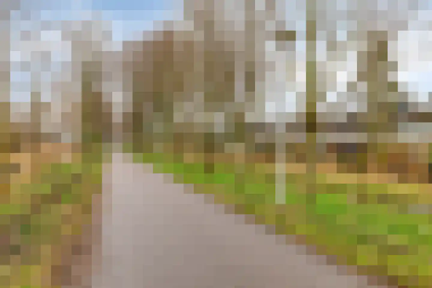 H.J. Algrastraat 58 Amsterdam thumbnail 29