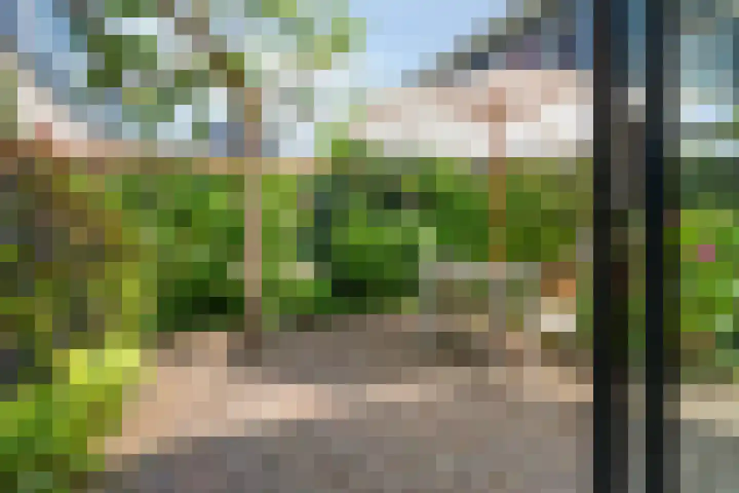 H.J. Algrastraat 62 Amsterdam thumbnail 27