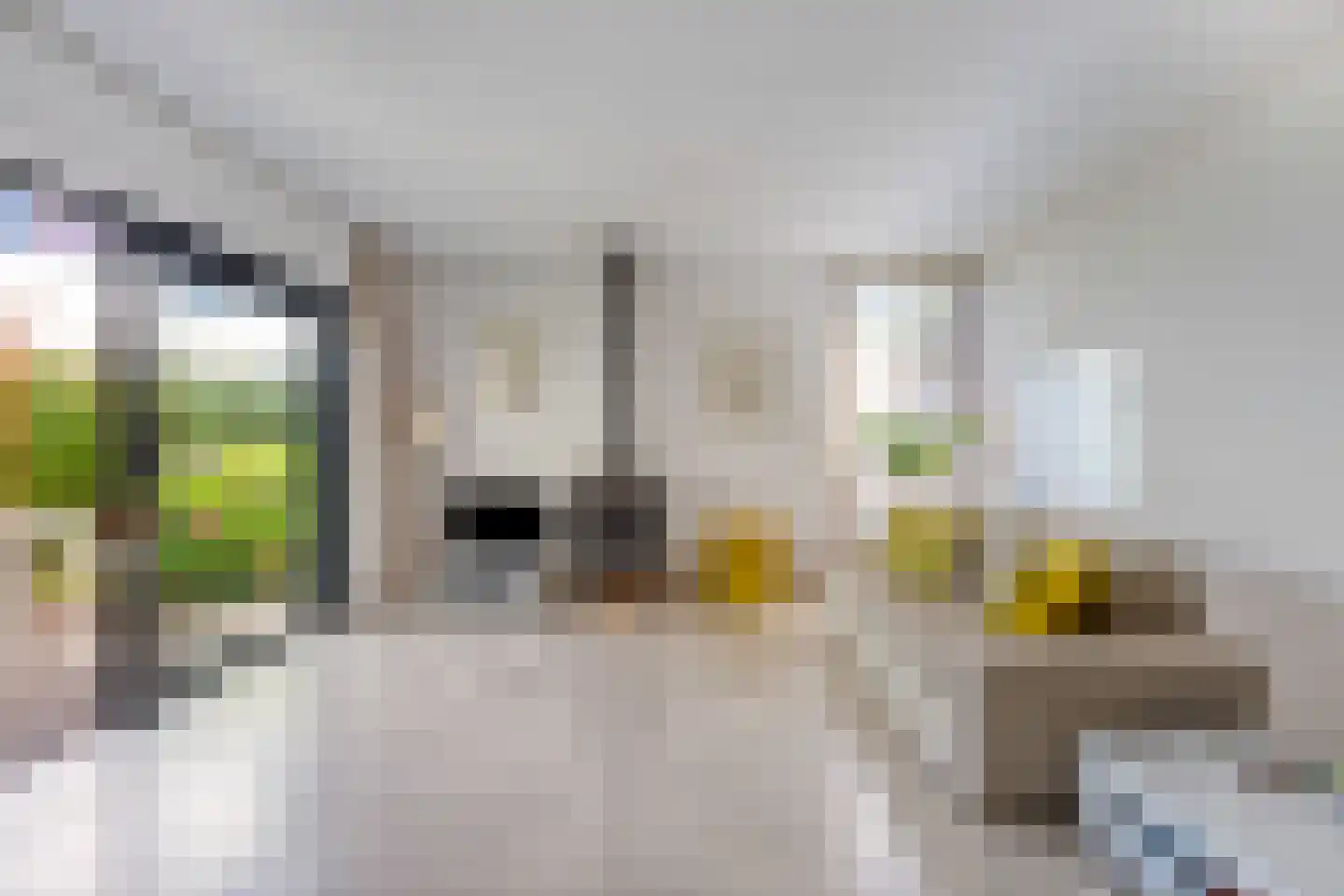 H.J. Algrastraat 62 Amsterdam thumbnail 6