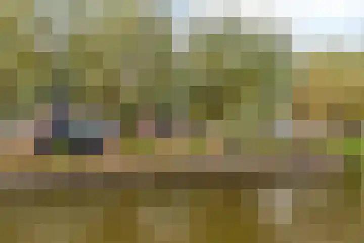 H J Calkoengracht 18 Volendam thumbnail 25