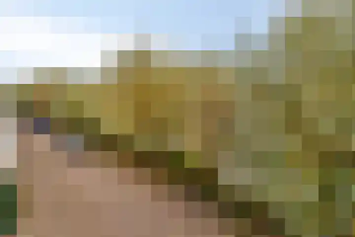 H J Calkoengracht 18 Volendam thumbnail 28