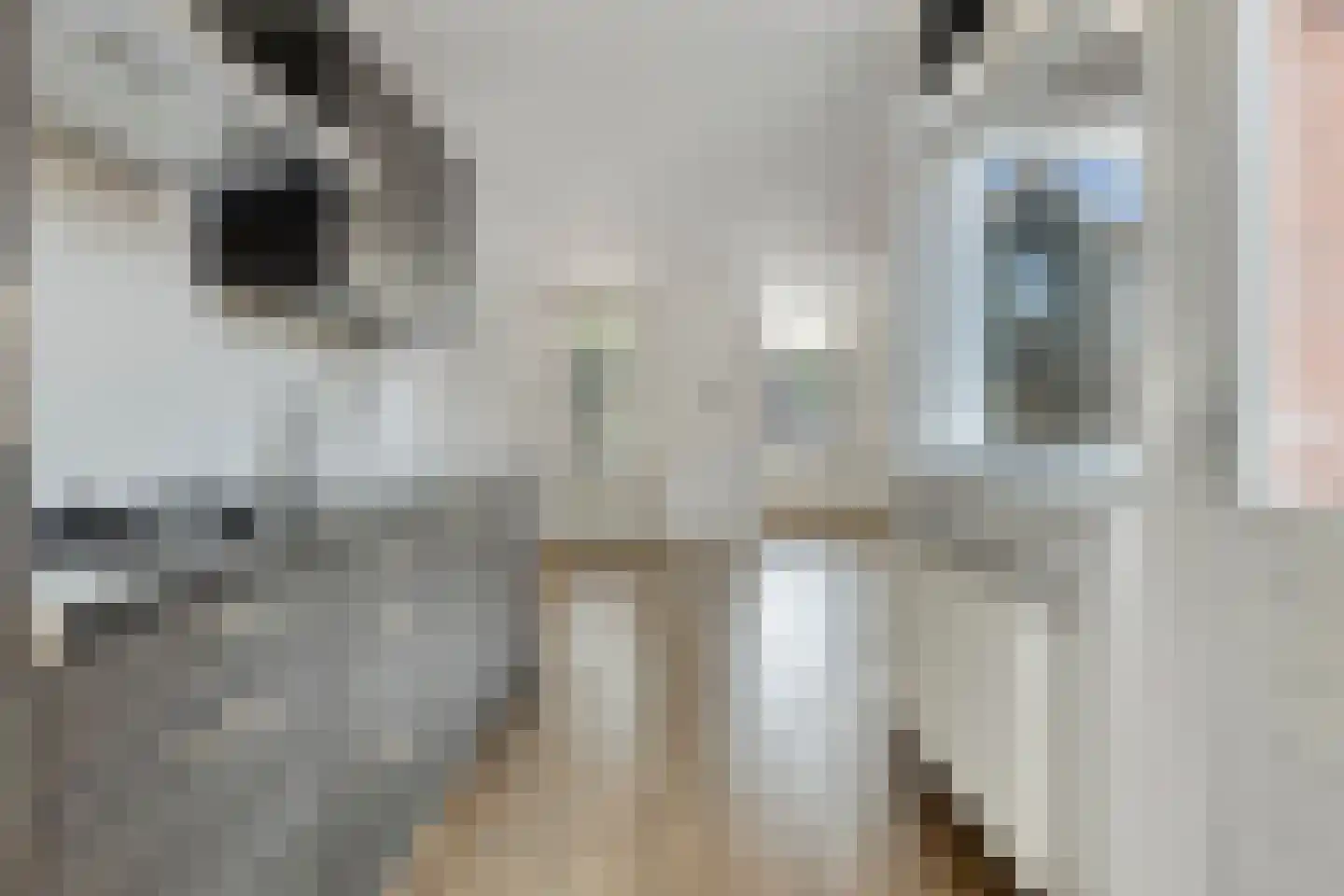 H J Calkoengracht 23 Volendam thumbnail 10