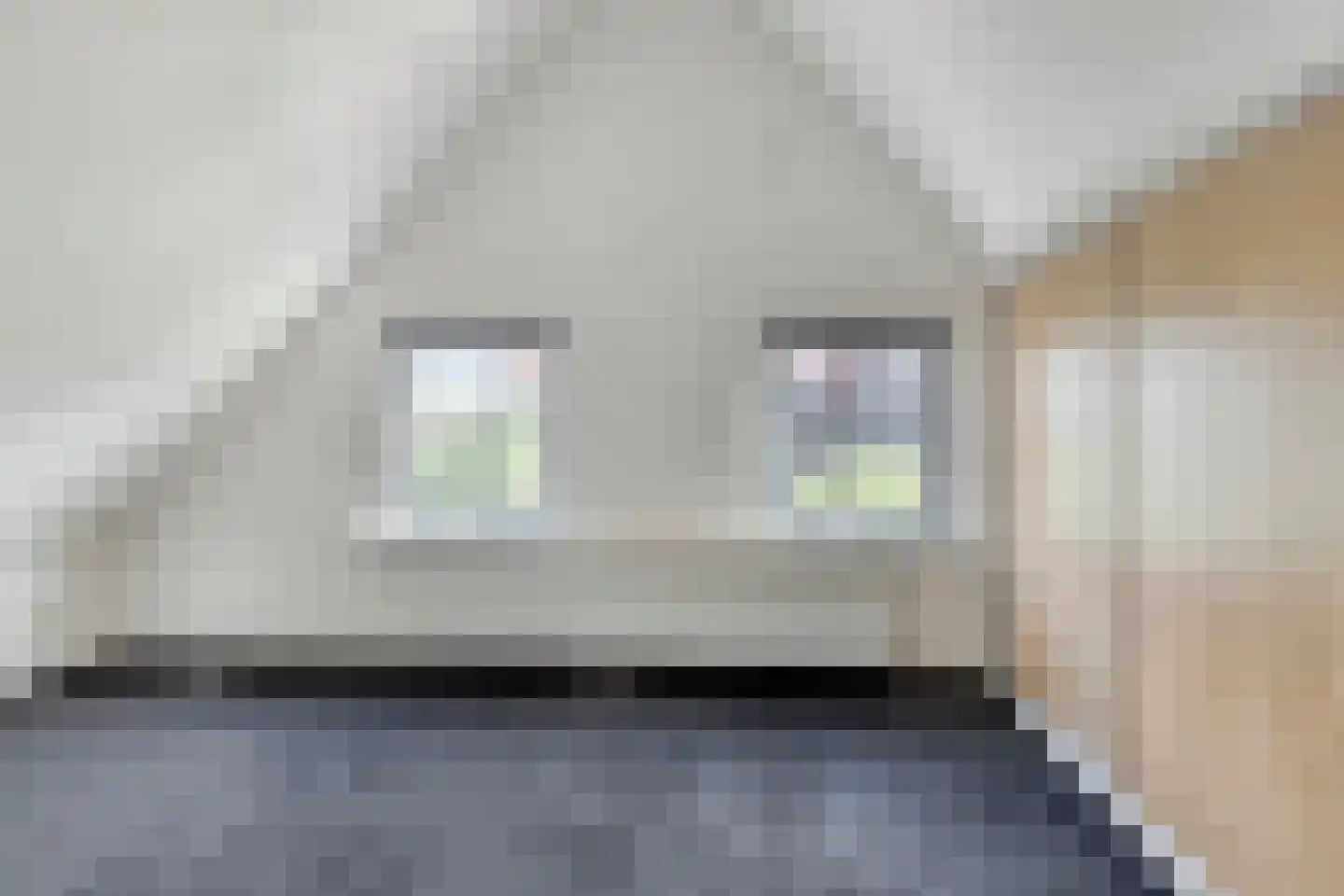 H J Calkoengracht 23 Volendam thumbnail 16