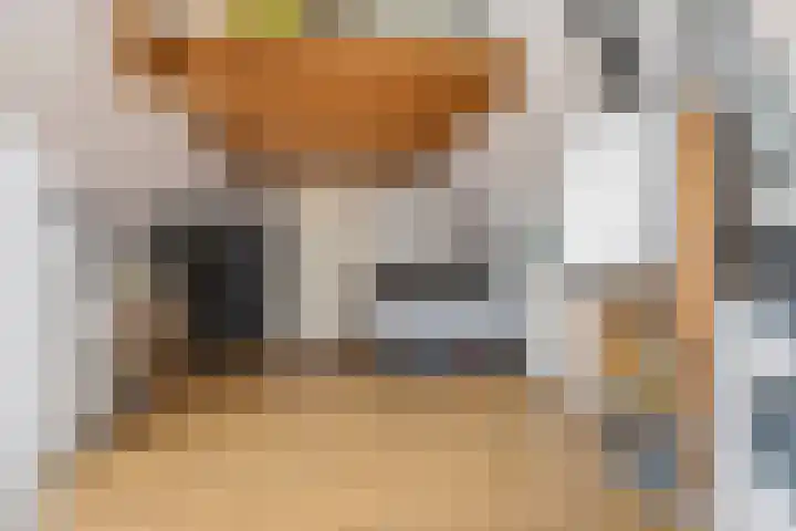 H.J. Ganzemanstraat 18 Meteren thumbnail 22