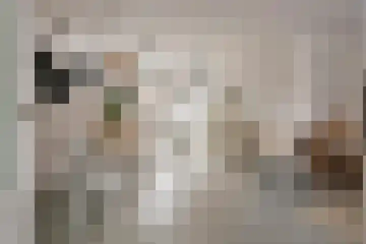H.J. Ganzemanstraat 18 Meteren thumbnail 4