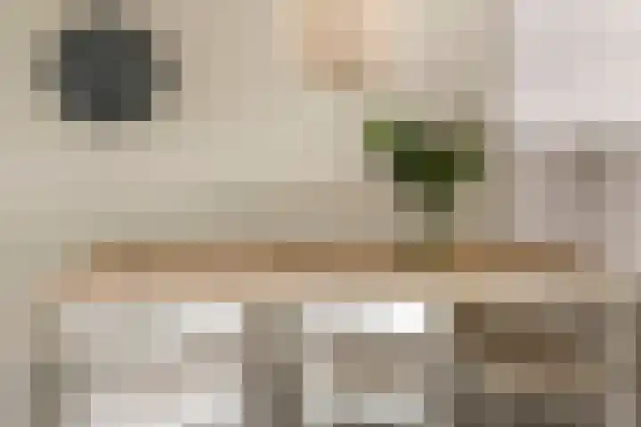 H.J. Ganzemanstraat 18 Meteren thumbnail 8
