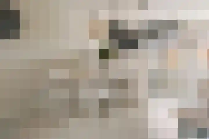 H.J. Ganzemanstraat 18 Meteren thumbnail 9