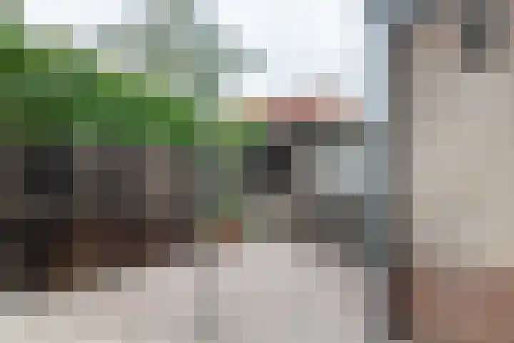 H.J. Ganzemanstraat 33 Meteren thumbnail 27