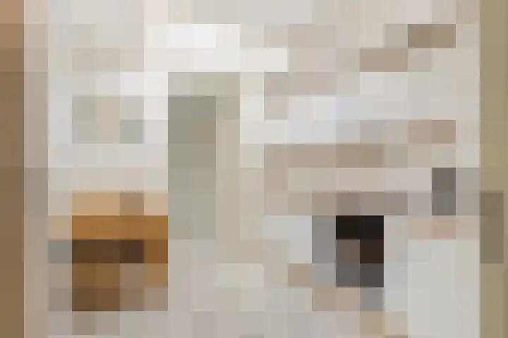 H.J. Ganzemanstraat 33 Meteren thumbnail 7