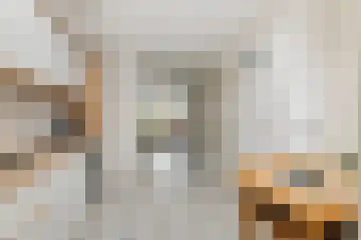H.J. Ganzemanstraat 33 Meteren thumbnail 8