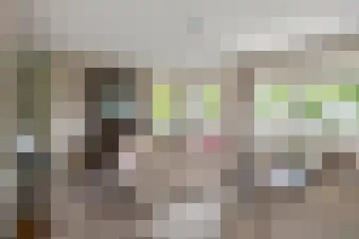 H.J. Ganzemanstraat 36 Meteren thumbnail 10