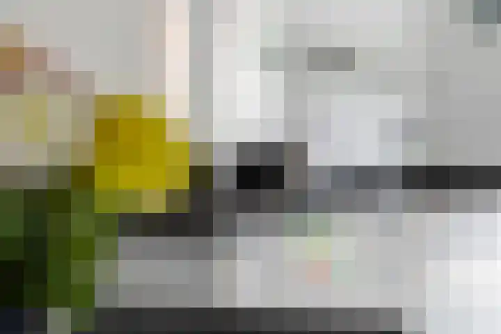 H.J. Ganzemanstraat 64 Meteren thumbnail 18