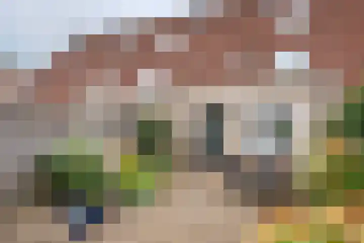 H.J. Ganzemanstraat 64 Meteren thumbnail 38