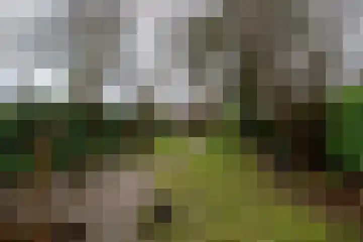 H.J. Kniggekade 27 Stadskanaal thumbnail 33