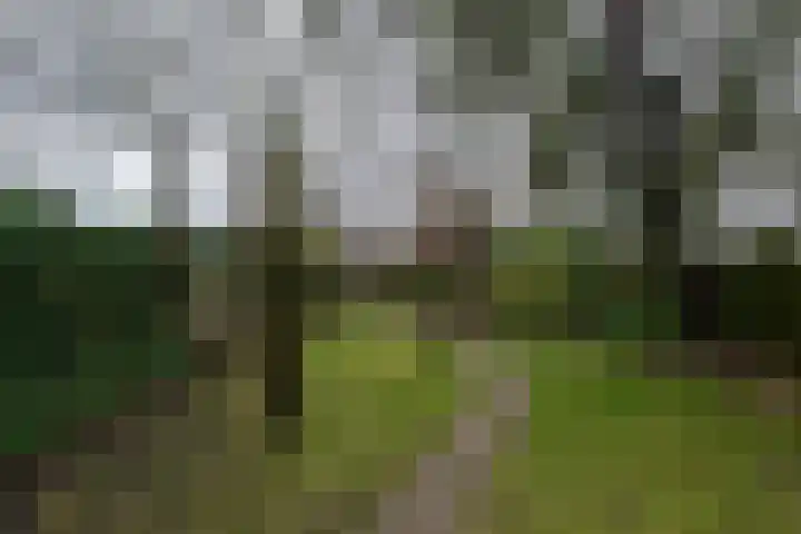 H.J. Kniggekade 27 Stadskanaal thumbnail 35