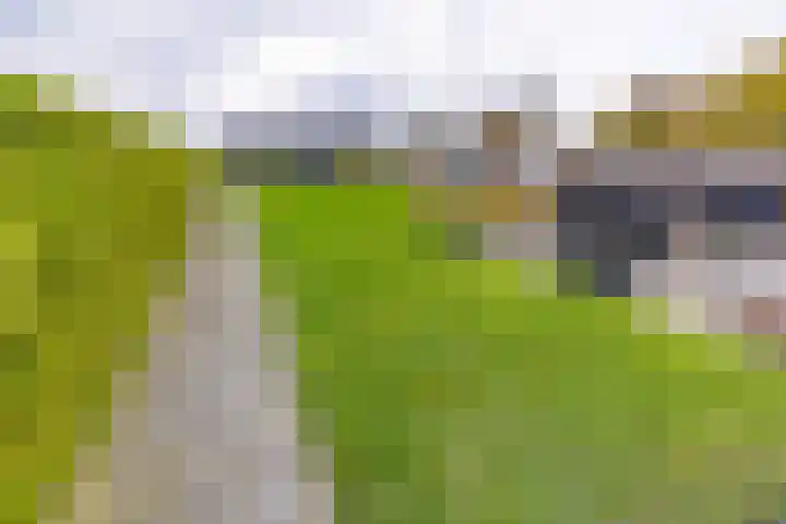 H.J. Kniggekade 9 Stadskanaal thumbnail 37