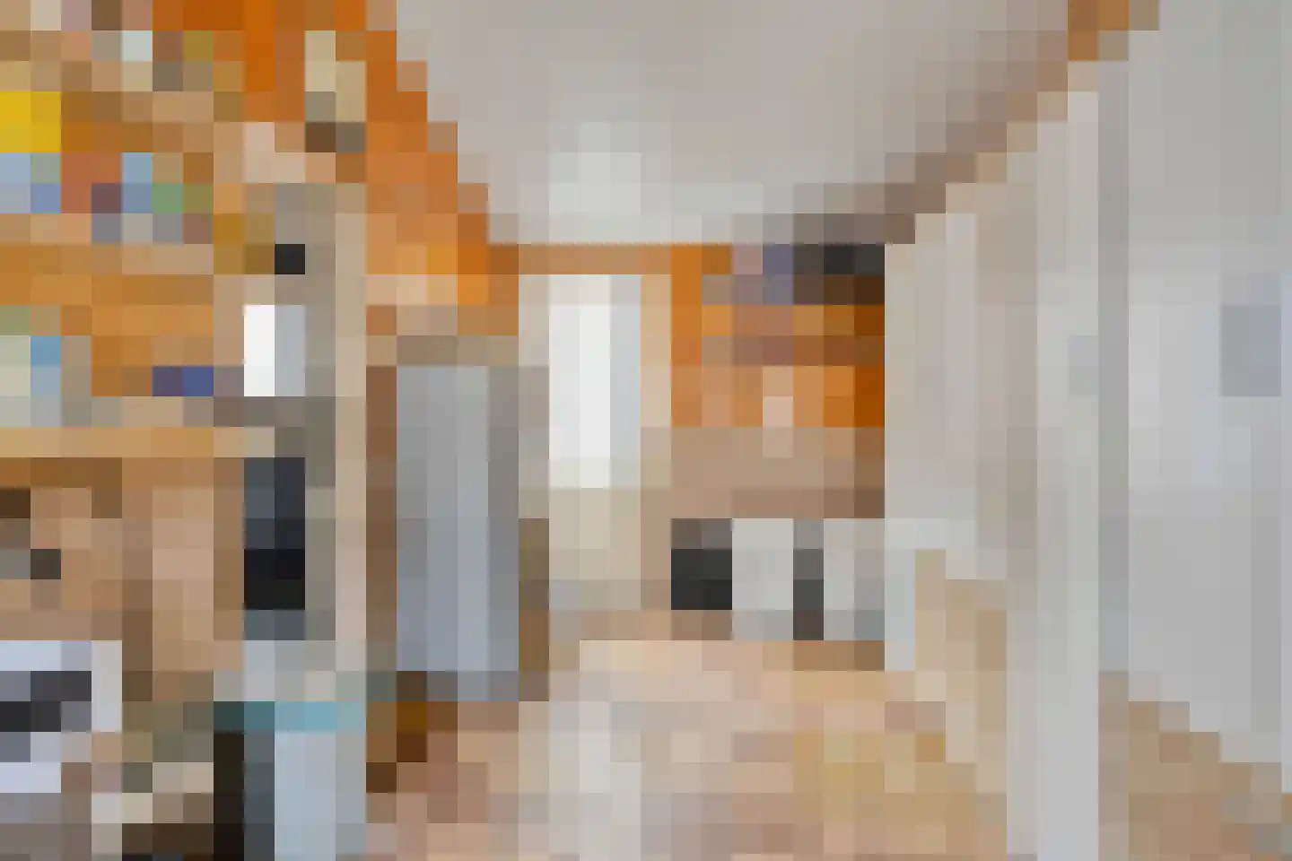 H.J. Kniggekade 95 Stadskanaal thumbnail 16