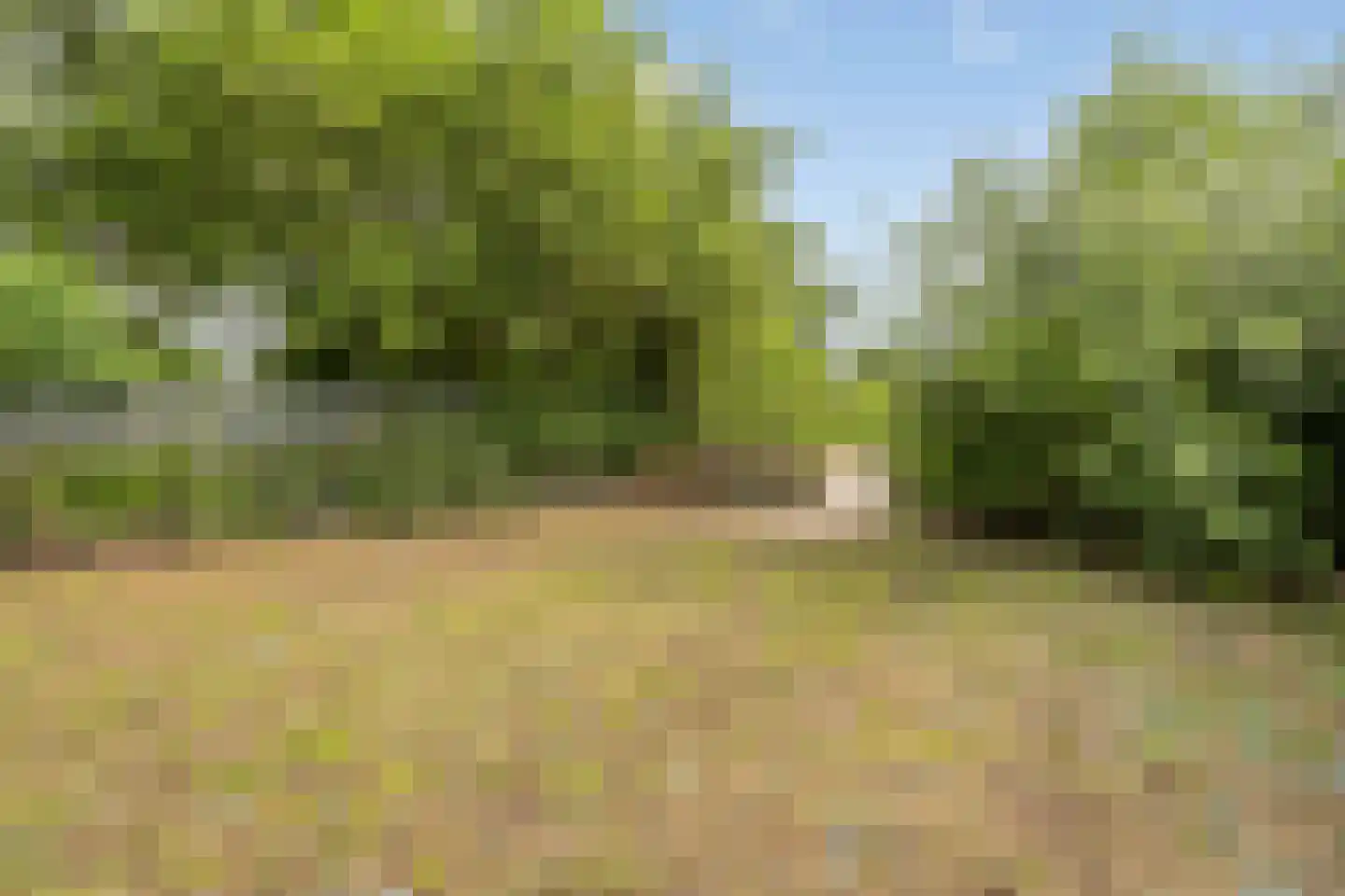 H.J. Kniggekade 95 Stadskanaal thumbnail 40