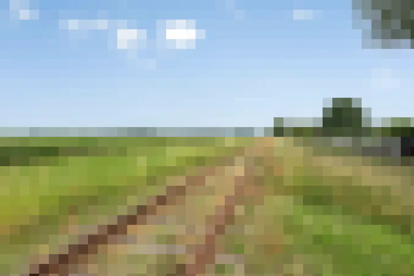 H.J. Kniggekade 95 Stadskanaal thumbnail 43