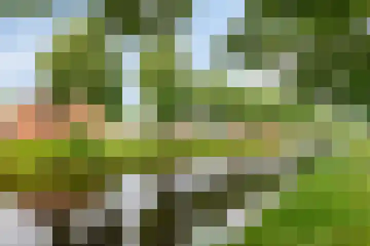 H.J. Kniggekade 98 Stadskanaal thumbnail 4