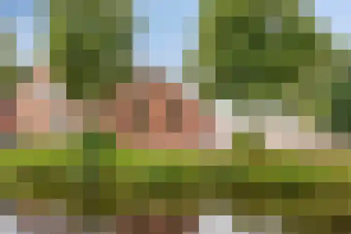 H.J. Kniggekade 98 Stadskanaal thumbnail 44