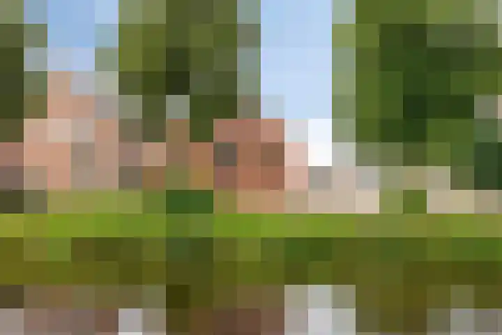 H.J. Kniggekade 98 Stadskanaal thumbnail 5