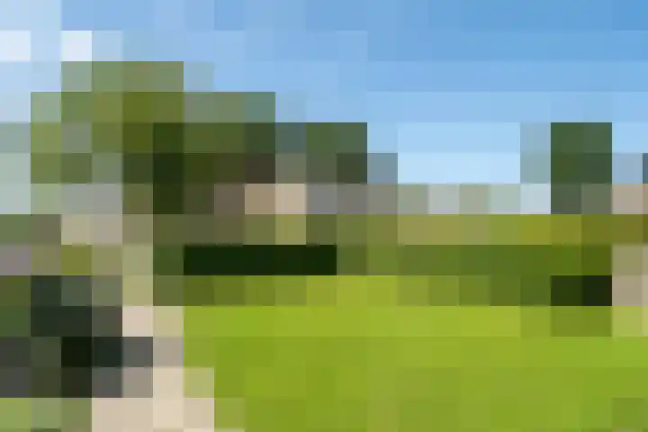 H.J. Kooistrawei 1 Wergea thumbnail 6