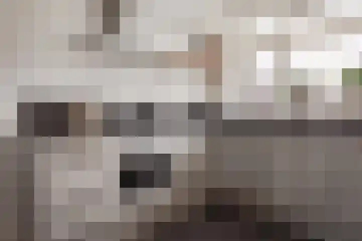 H.J.M. Keijzerlaan 20 a Spanbroek thumbnail 5