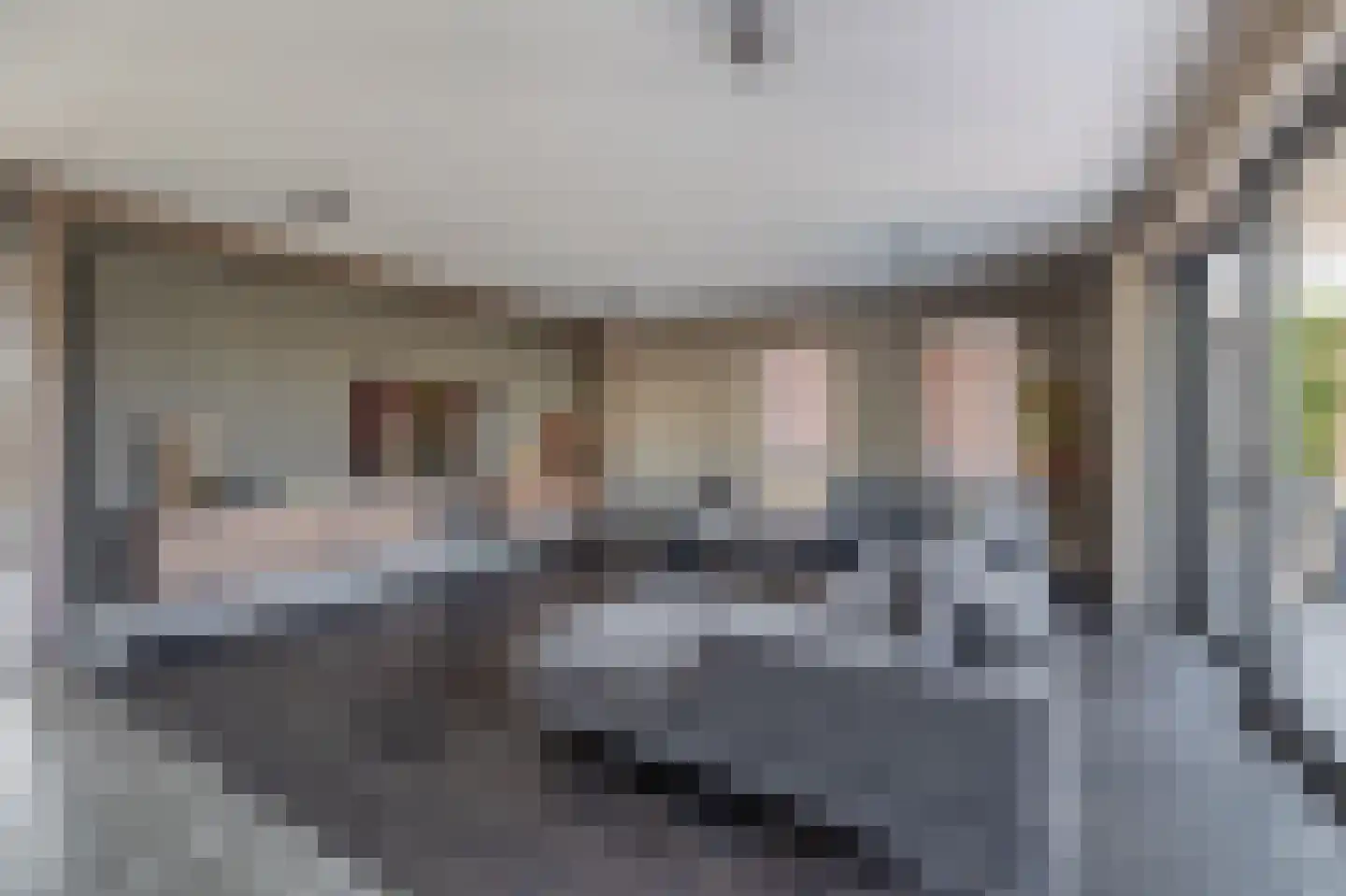 H.J.M. Wiegersmastraat 21 Waspik thumbnail 14