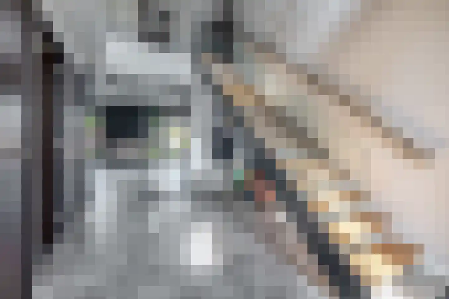 H.J.M. Wiegersmastraat 21 Waspik thumbnail 9