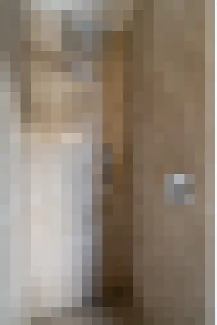 H.J.M. Wiegersmastraat 9 Waspik thumbnail 48