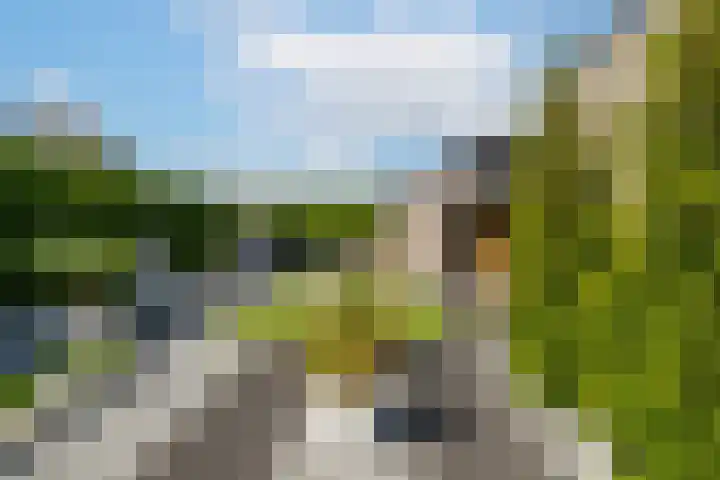 H.J.M. Wiegersmastraat 9 Waspik thumbnail 5