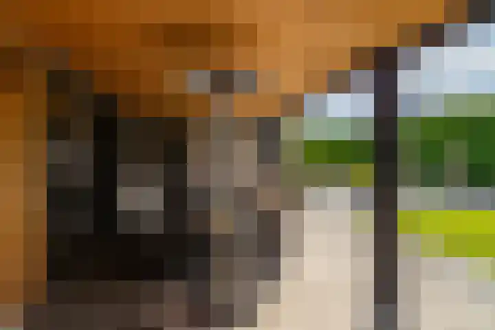 H.J.M. Wiegersmastraat 9 Waspik thumbnail 6
