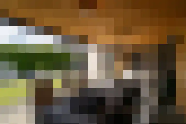 H.J.M. Wiegersmastraat 9 Waspik thumbnail 7