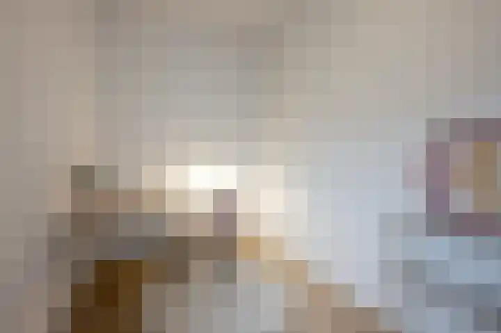 H.J. Schimmelplein 1 BS Utrecht thumbnail 22