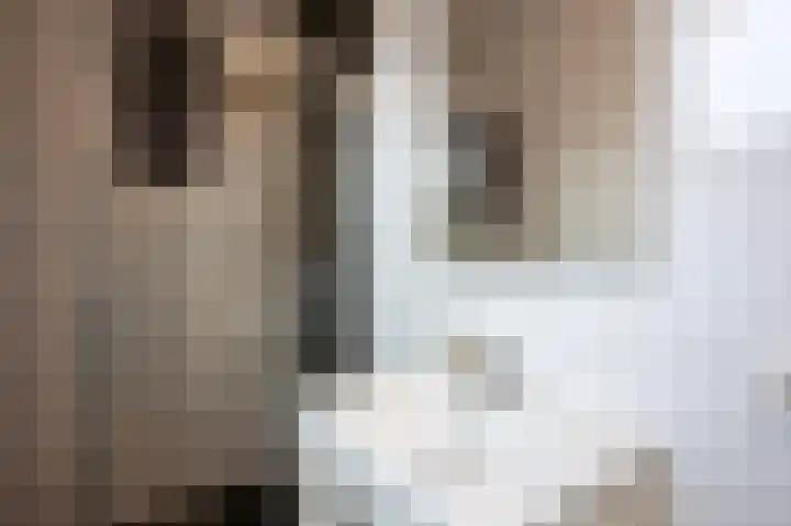 H.J. Schimmelplein 1 BS Utrecht thumbnail 28