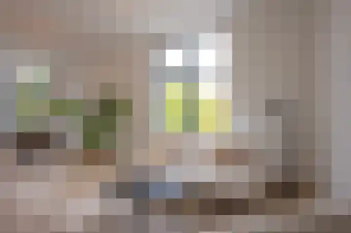 H.J. Schimmelplein 1 BSA Utrecht thumbnail 7