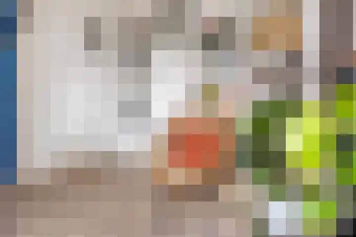 H.J. Schimmelplein 12 Utrecht thumbnail 11