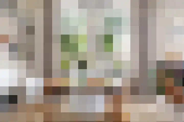 H.J. Schimmelplein 12 Utrecht thumbnail 12